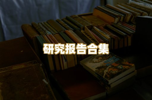 研究报告合集