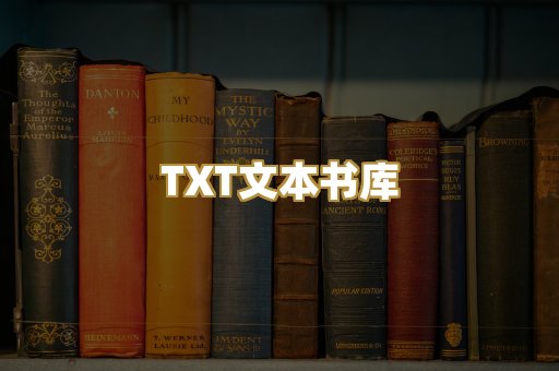 TXT文本书库